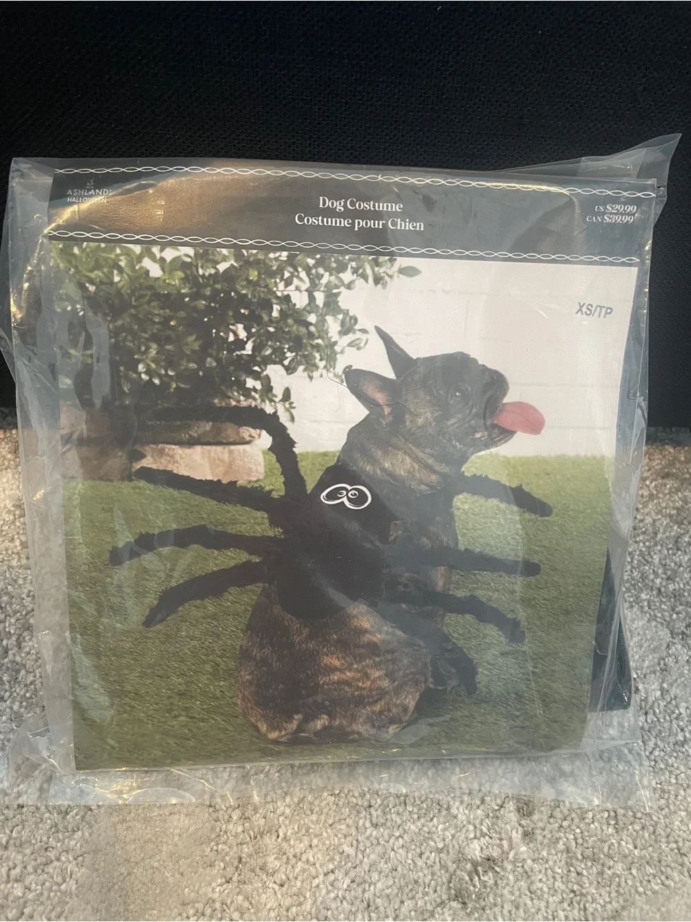 XS Dog Halloween Costume Spider Outfit for Pets - Black